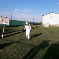 Акарицидная обработка территории