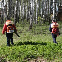 Обрабатываем поля в лесу