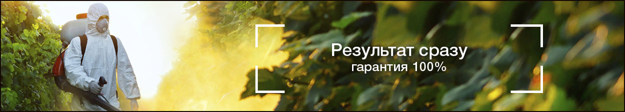 Результат